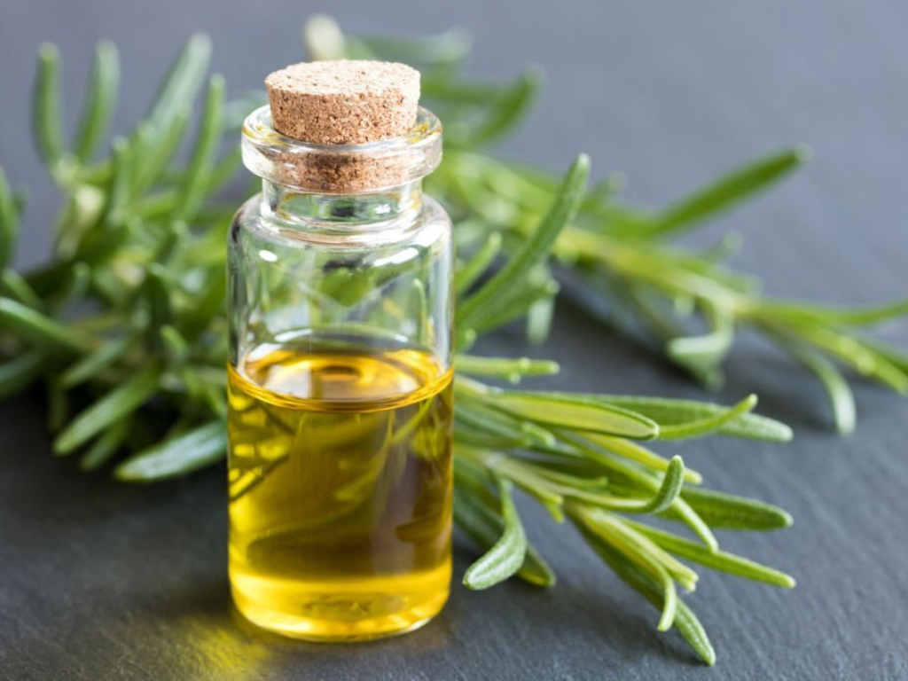 Why should you use Rosemary oil? Here we tell you.